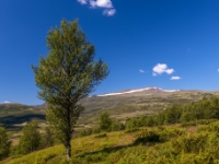 Grimsdalen